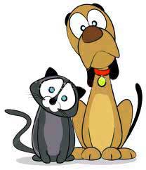 We don't want to go to a kennel or cattery.